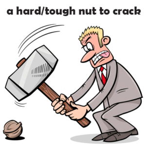 a hard nut to crack