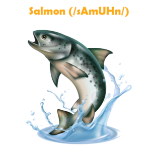 salmon pronunciation