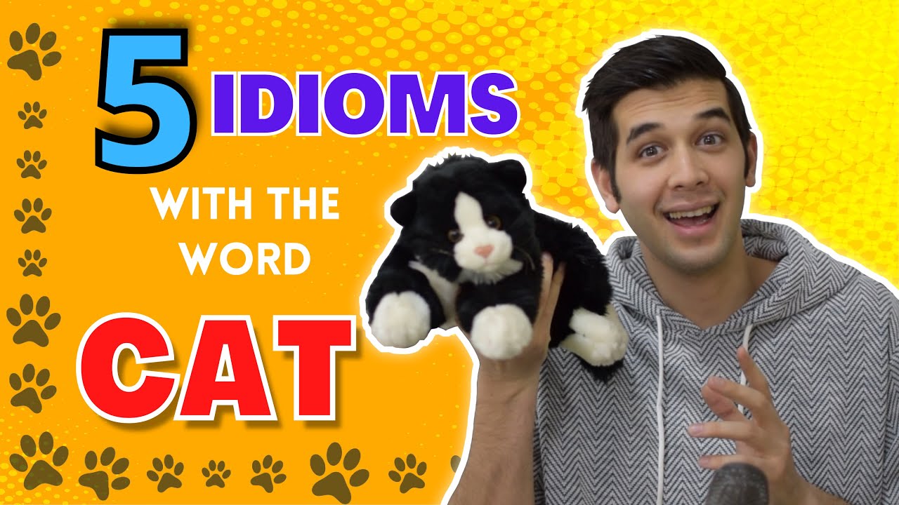 idioms related to cat