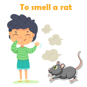 to smell a rat