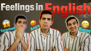 idioms and phrases for describing feelings