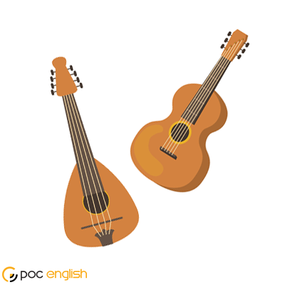 A picture of stringed instrument (musician instrument like guitar).