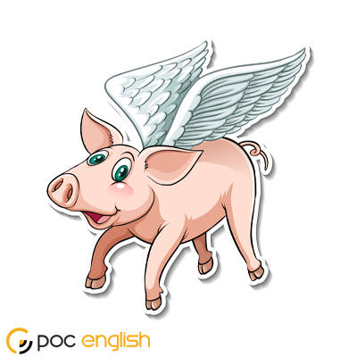 a picture related to the "when pigs fly" idiom